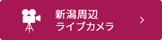 新潟周辺ライブカメラ