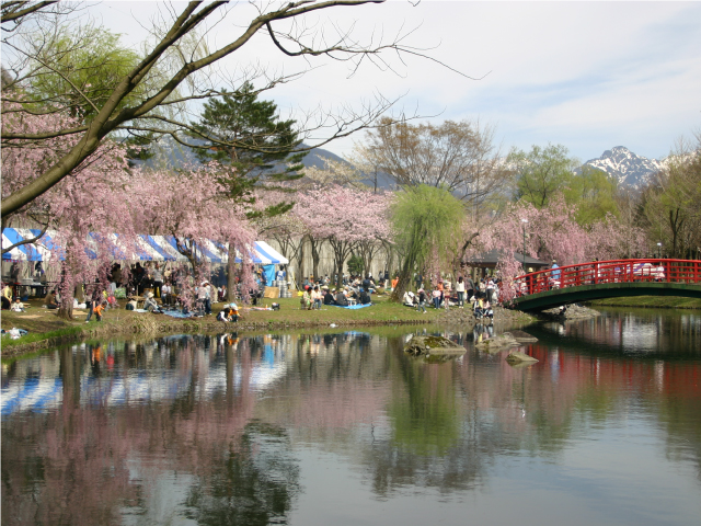 湯沢中央公園